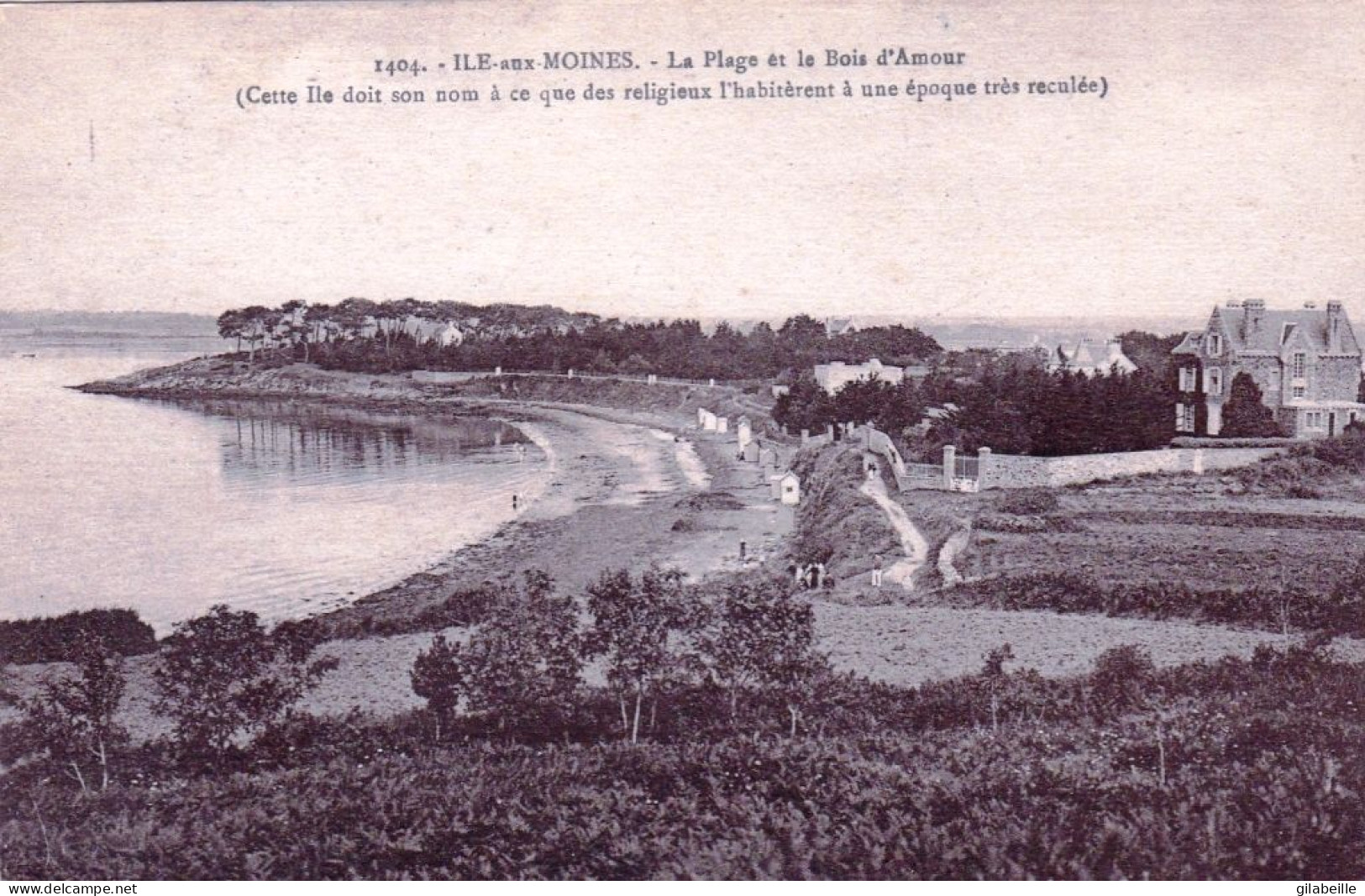 56 - Morbihan -  ILE Aux MOINES - La Plage Et Le Bois D Amour - Ile Aux Moines
