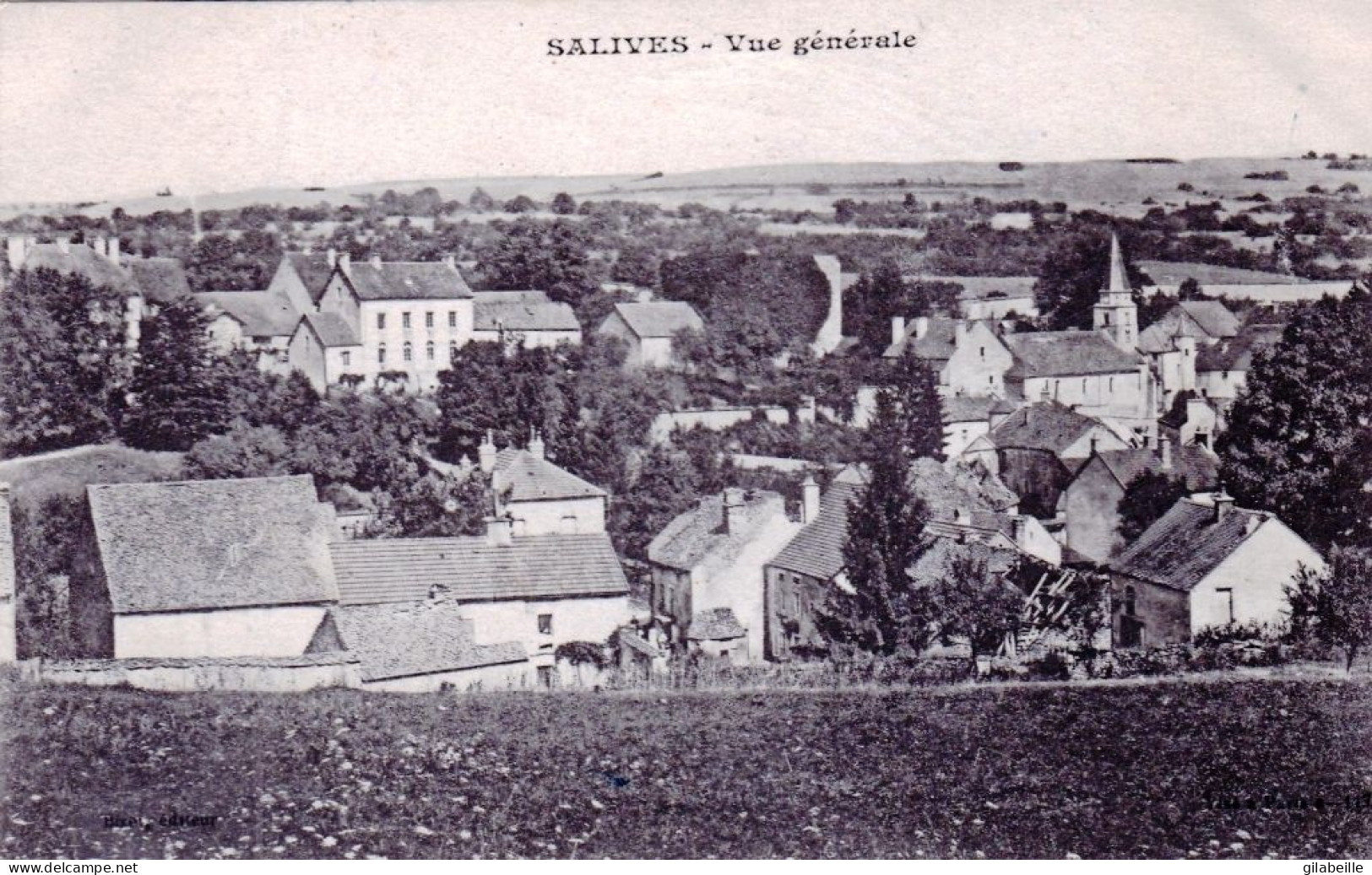 21 - Cote D Or -  SALIVES - Vue Generale - Autres & Non Classés