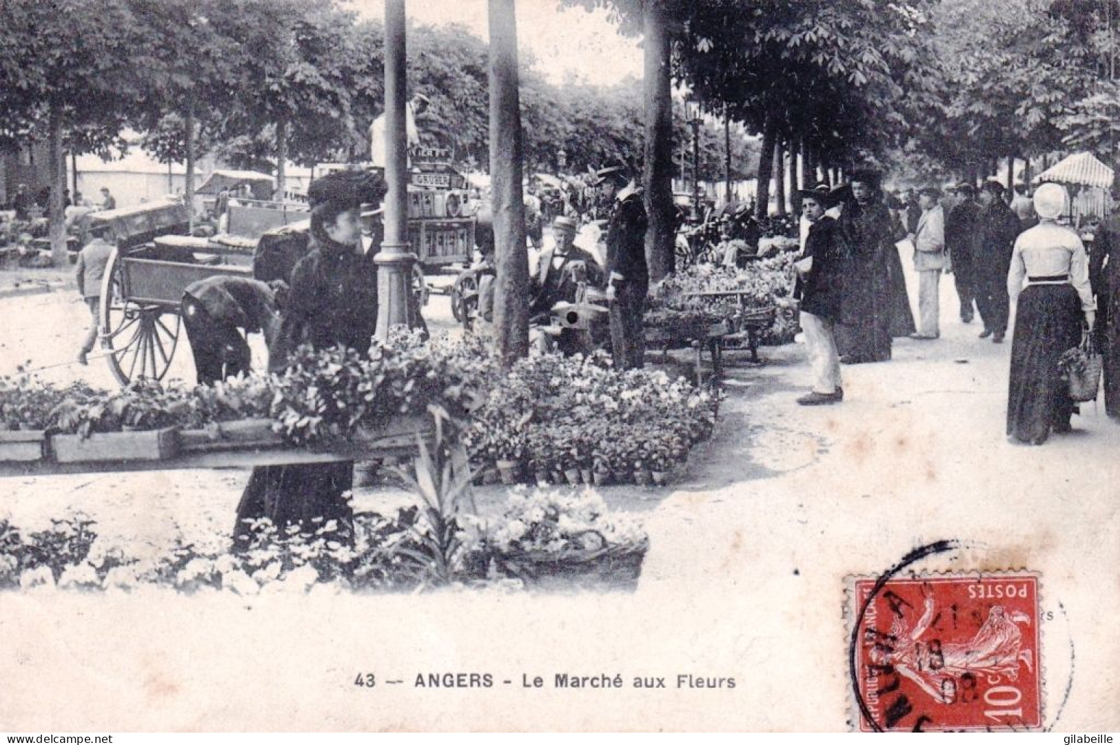 49 - Maine Et Loire -  ANGERS - Le Marché Aux Fleurs - Angers