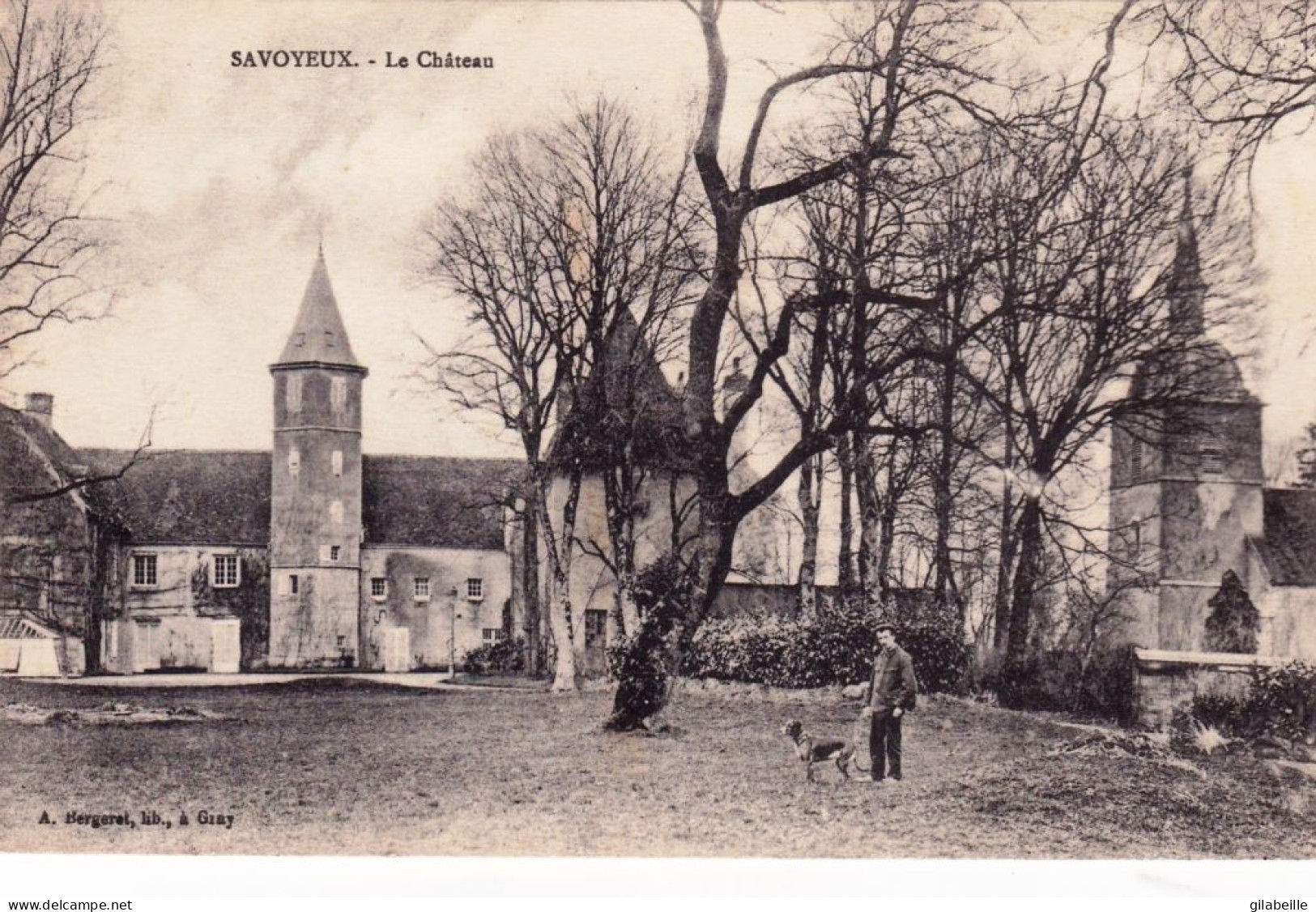 70 - Haute Saone -  SAVOYEUX - Le Chateau - Autres & Non Classés