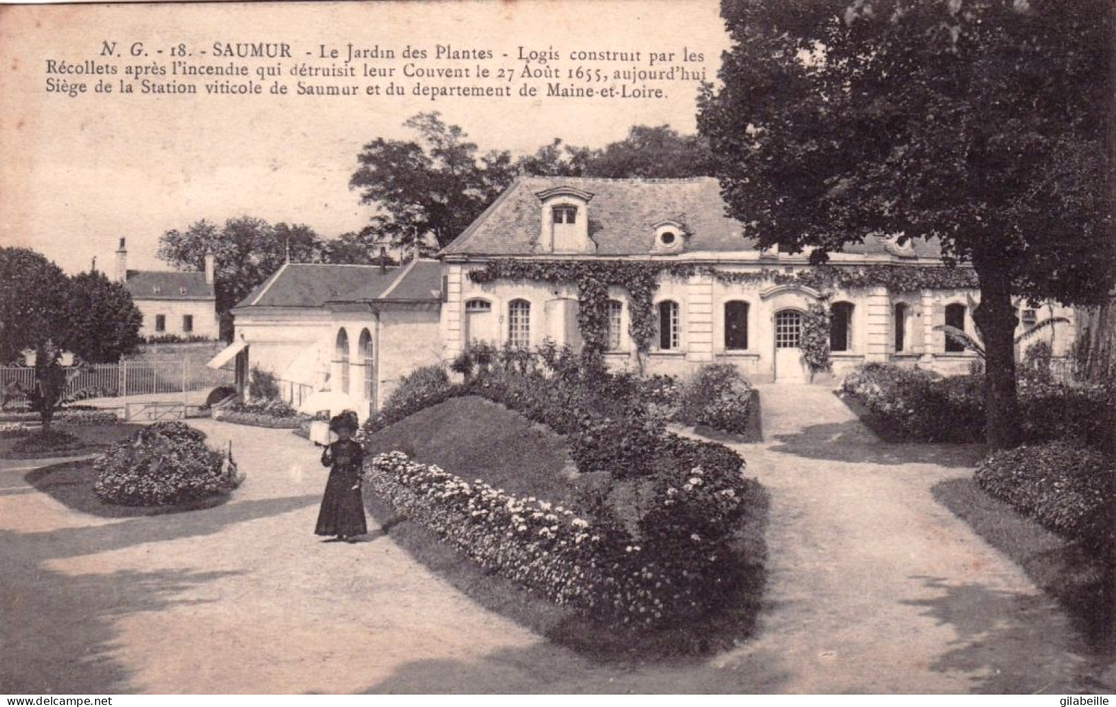 49 - Maine Et Loire -  SAUMUR - Le Jardin Des Plantes - Saumur