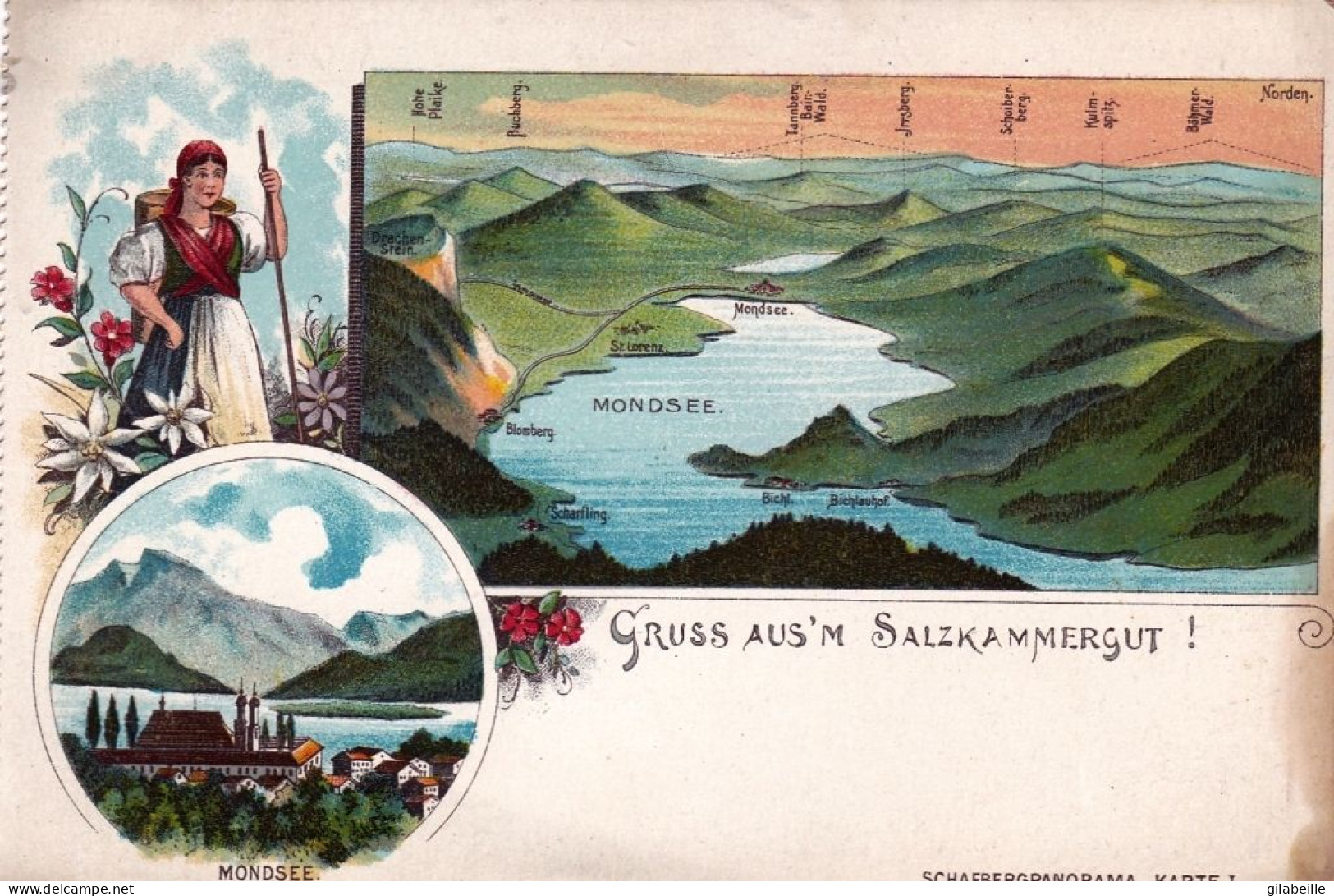 Osterreich -  Gruss Aus Dem SALZKAMMERGUT - Litho - Andere & Zonder Classificatie