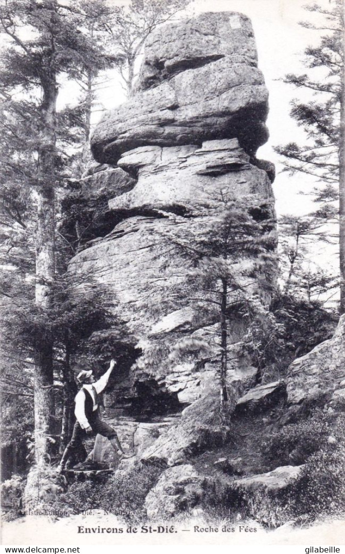 88 - Vosges -  Environs De SAINT DIE - Roche Des Fées - Saint Die