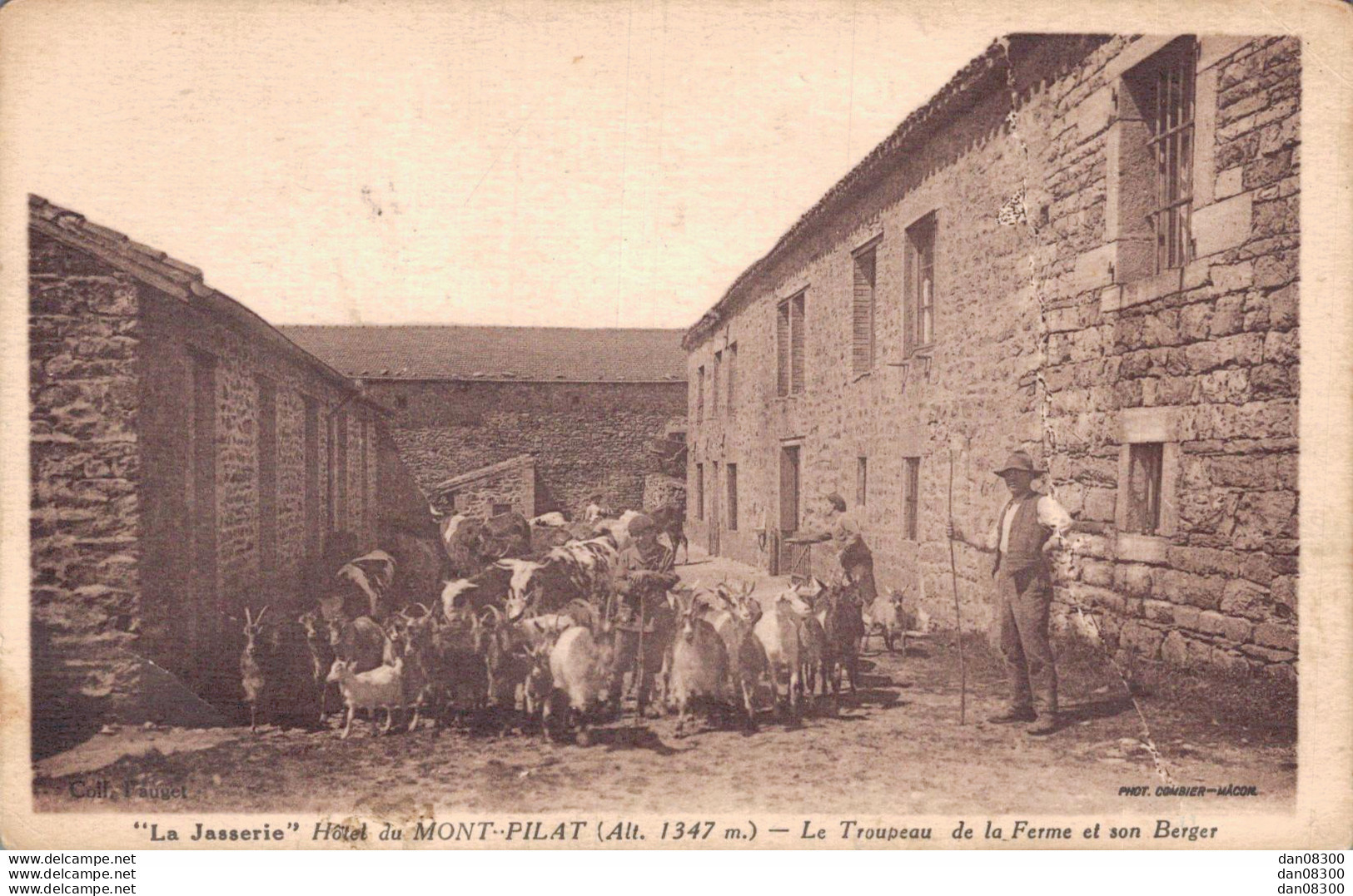 42 LA JASSERIE HOTEL DU MONT PILAT LE TROUPEAU DE LA FERME ET SON BERGER - Mont Pilat