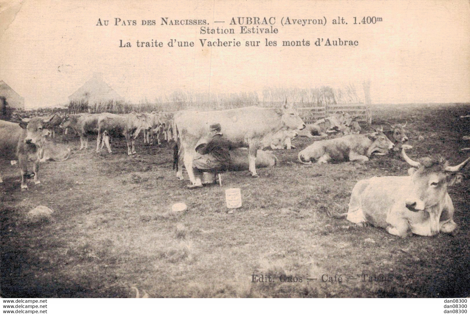 12 AUBRAC LA TRAITE D'UNE VACHERIE SUR LES MONTS D'AUBRAC - Breeding