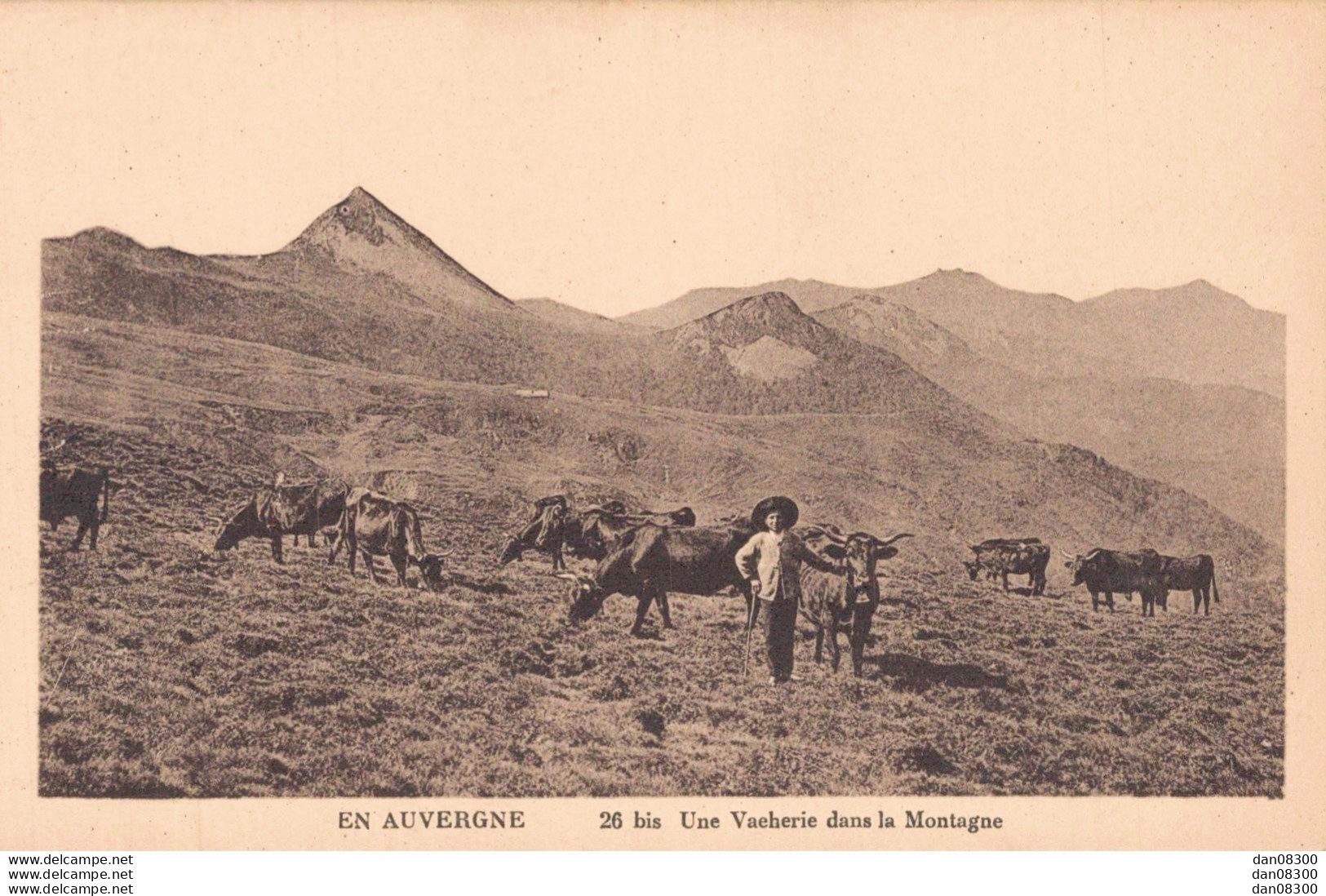 15 EN AUVERGNE UNE VACHERIE DANS LA MONTAGNE - Veeteelt