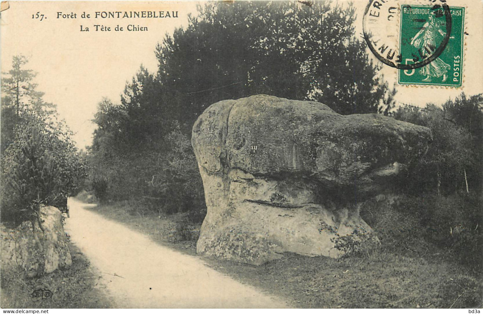 77 - FORET DE FONTAINEBLEAU - LA TETE DE CHIEN - Other & Unclassified