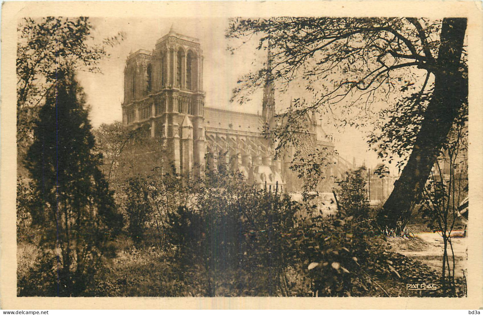 75 - PARIS - NOTRE DAME - LES JOLIS COINS DE PARIS - Notre Dame De Paris