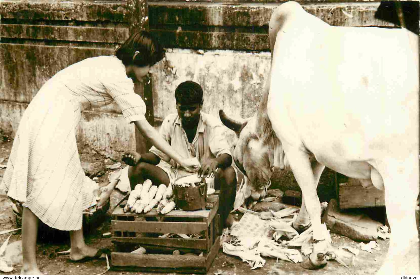 Inde - Bombay - Scène De Vie - Animée - CPSM Format CPA - Voir Scans Recto-Verso - Inde