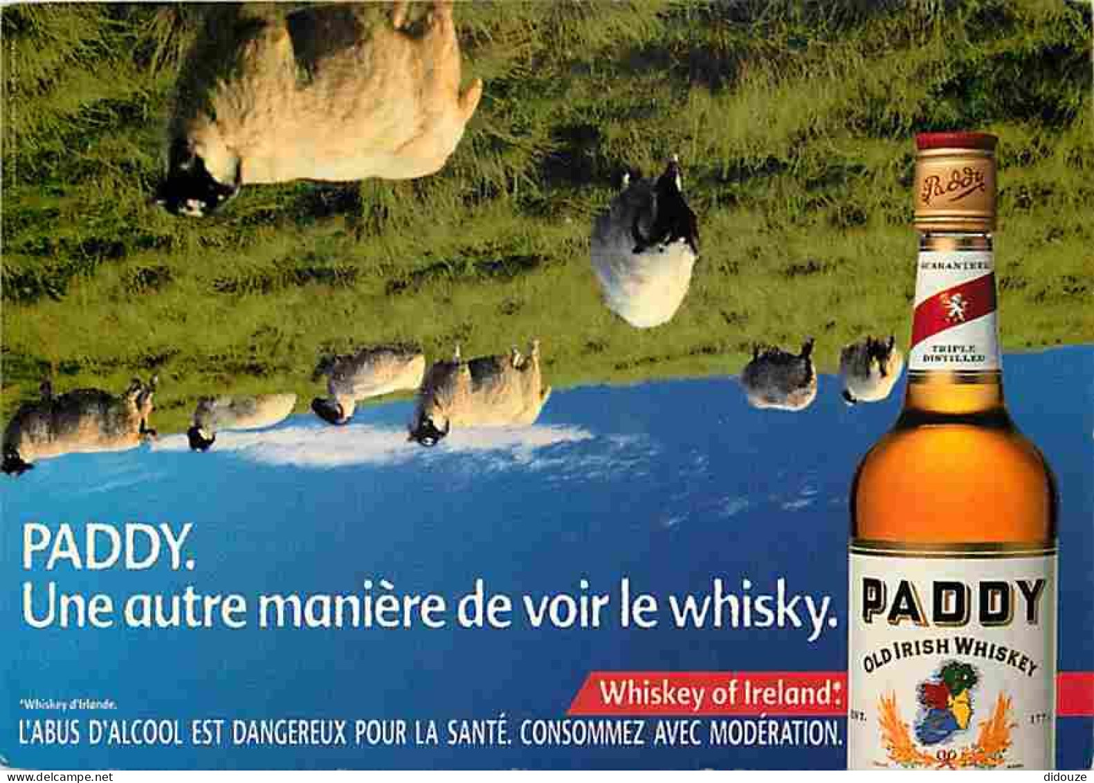 Publicite - Paddy - Old Irish Whiskey - Whisky Irlandais - Moutons - Irlande - Carte Neuve - CPM - Voir Scans Recto-Vers - Publicité