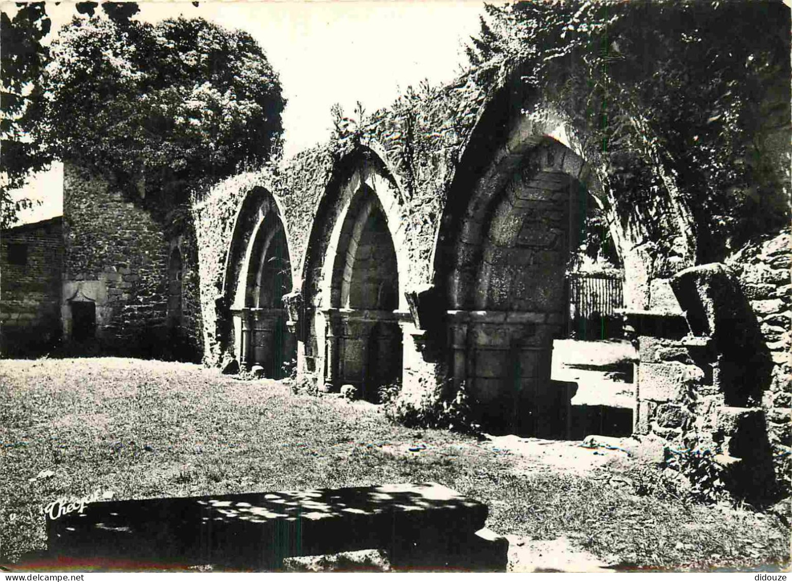 87 - Saint Léonard De Noblat - Ruines De L'Abbaye De L'Artige - Mention Photographie Véritable - Carte Dentelée - CPSM G - Saint Leonard De Noblat