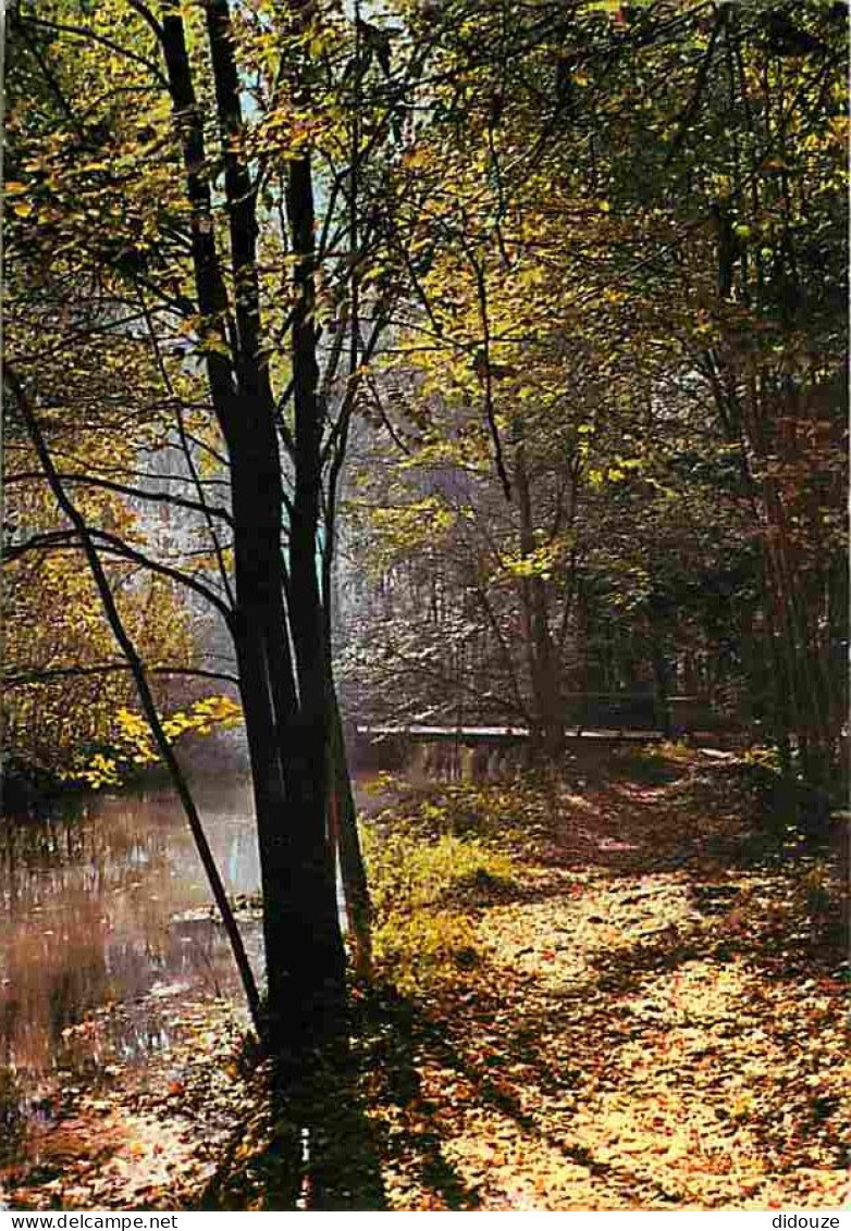 91 - Boissy La Rivière - Centre D'Education Ouvrière De La CFDT - Domaine De Bierville - Le Parc - Foret - Flamme Postal - Boissy-la-Rivière