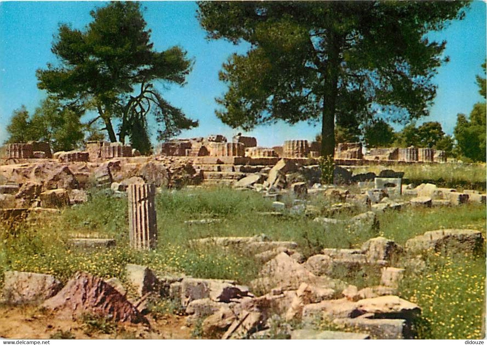 Grèce - Athènes - Athína - Olympie - Le Temple De Zeus - Carte Neuve - CPM - Voir Scans Recto-Verso - Grèce