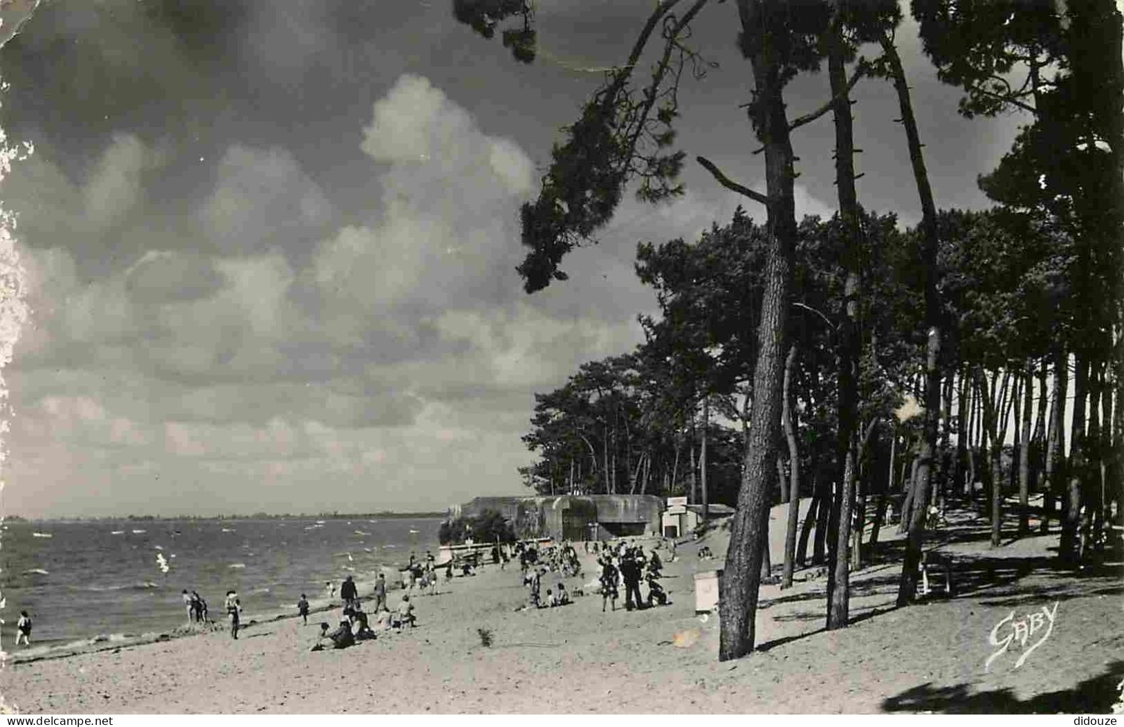 17 - Ronce Les Bains - La Plage Et Les Pins - Mention Photographie Véritable - Carte Dentelée - CPSM Format CPA - Voir S - Other & Unclassified