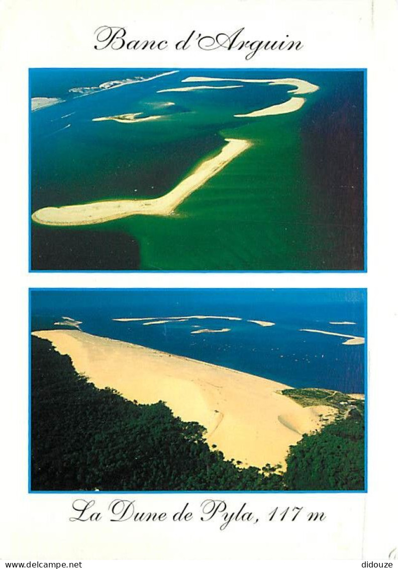 33 - Dune Du Pyla - Multivues - Flamme Postale De Biscarosse - Bassin D'Arcachon - CPM - Voir Scans Recto-Verso - Sonstige & Ohne Zuordnung