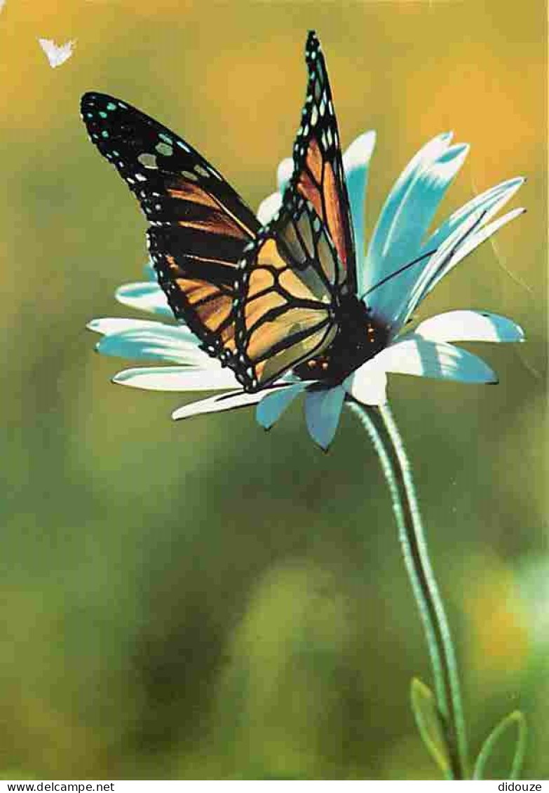 Animaux - Papillons - Fleurs - CPM - Voir Scans Recto-Verso - Mariposas