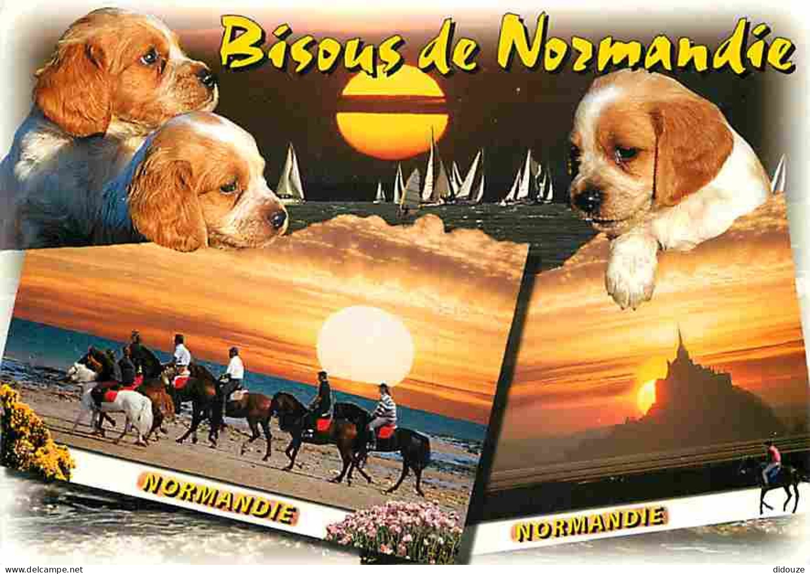 Animaux - Chiens - Cocker - Chiots - Normandie - Multivues - Chevaux - CPM - Voir Scans Recto-Verso - Dogs