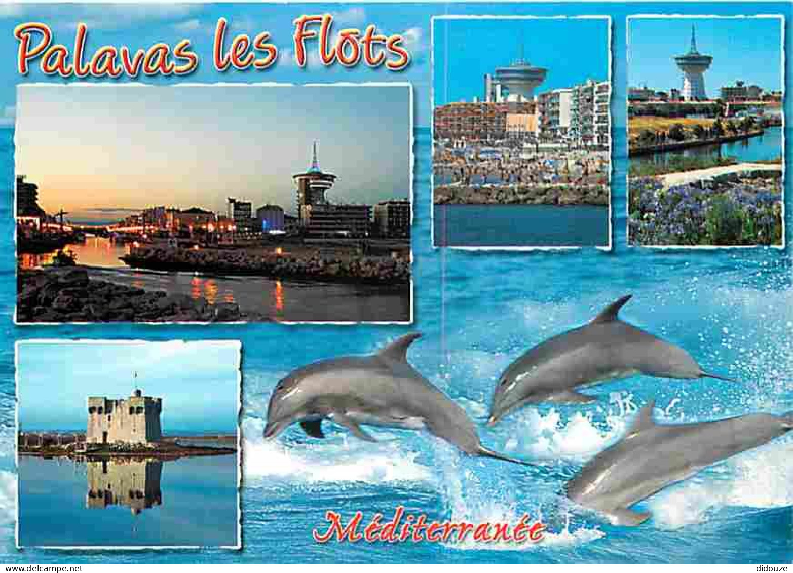 Animaux - Dauphins - CPM - Voir Scans Recto-Verso - Dolphins