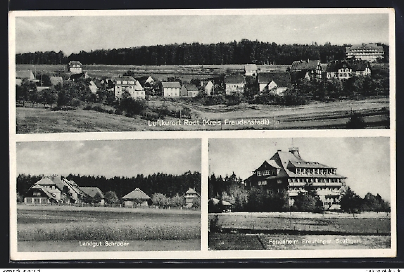 Künstler-AK Rodt /Kr. Freudenstadt, Landgut Schröder, Ferienheim Brauninger, Ortspanorama  - Freudenstadt