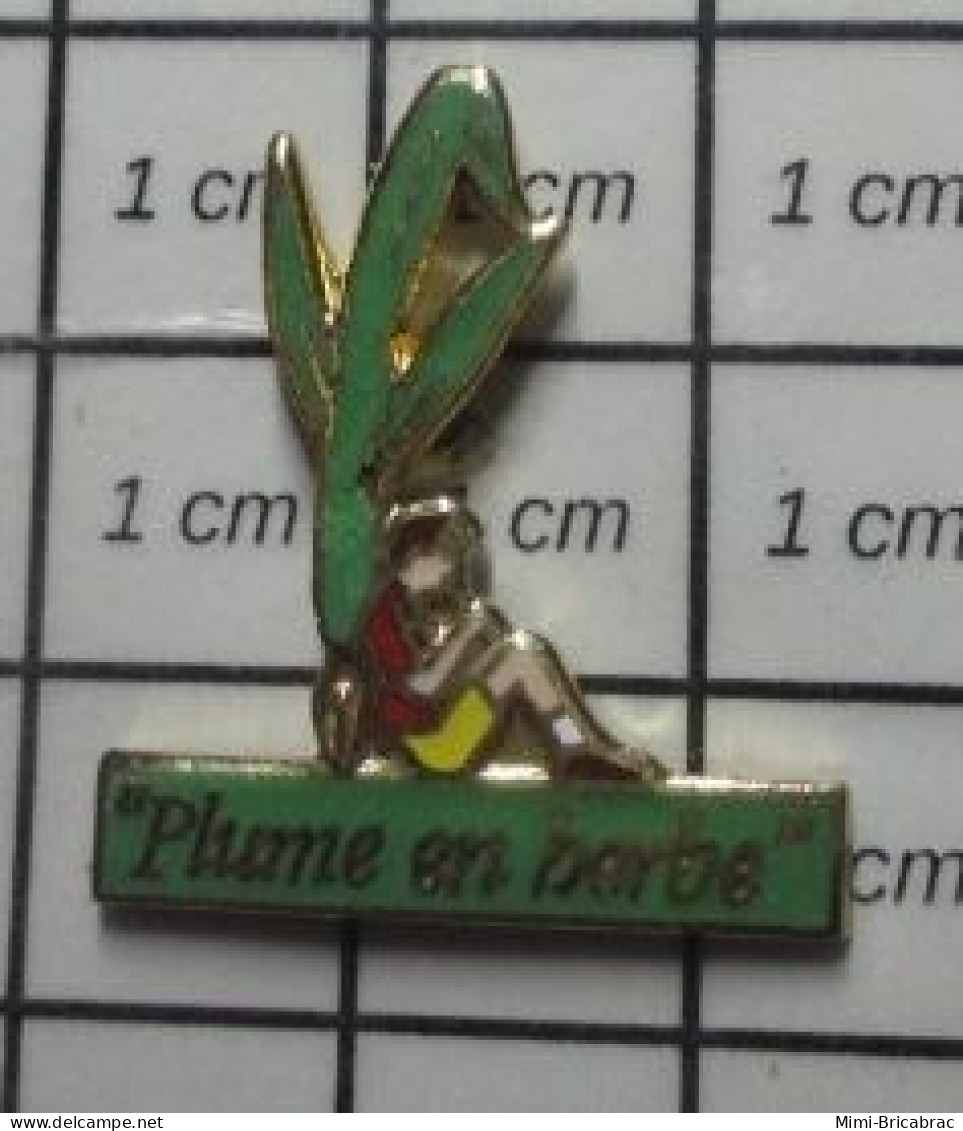 1618c Pin's Pins / Beau Et Rare / MEDIAS / JEUNE ECRIVAIN PLUME EN HERBE - Medios De Comunicación