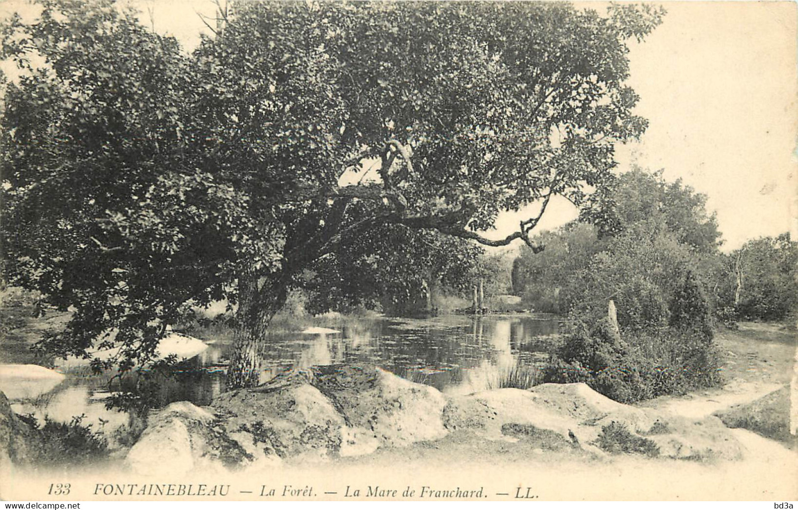 77 - FONTAINEBLEAU - LA FORET - LA MARE DE FRANCHARD - Other & Unclassified