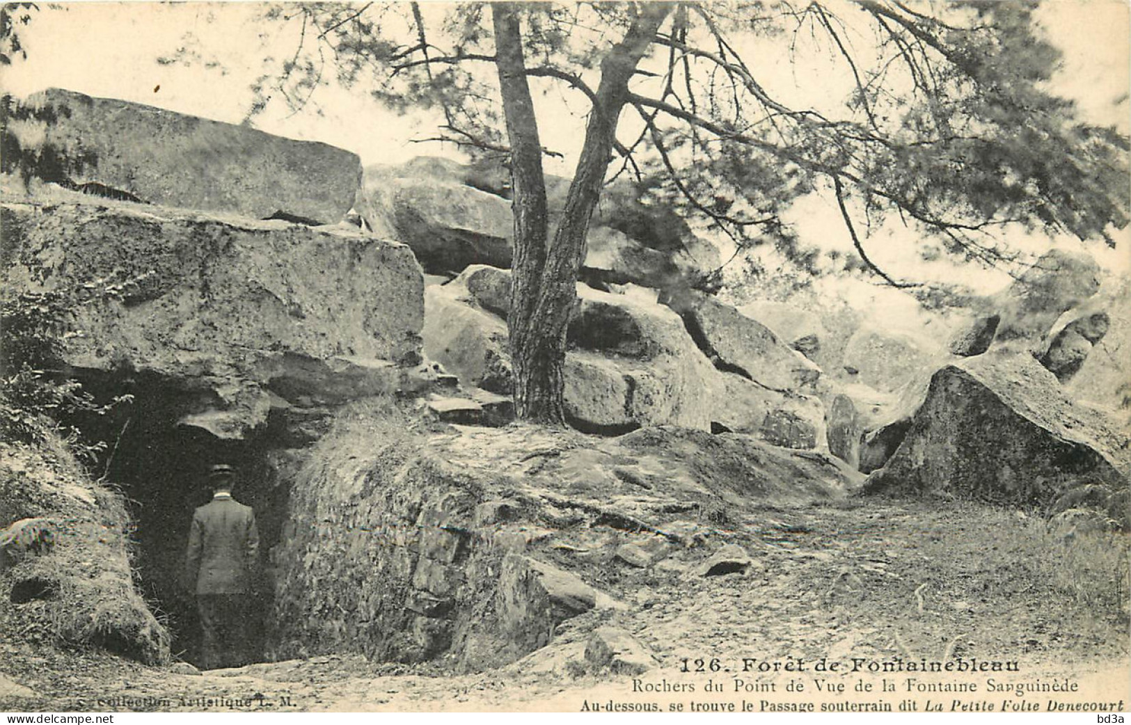 77 - FORET DE FONTAINEBLEAU - ROCHER DU POINT DE VUE - Autres & Non Classés