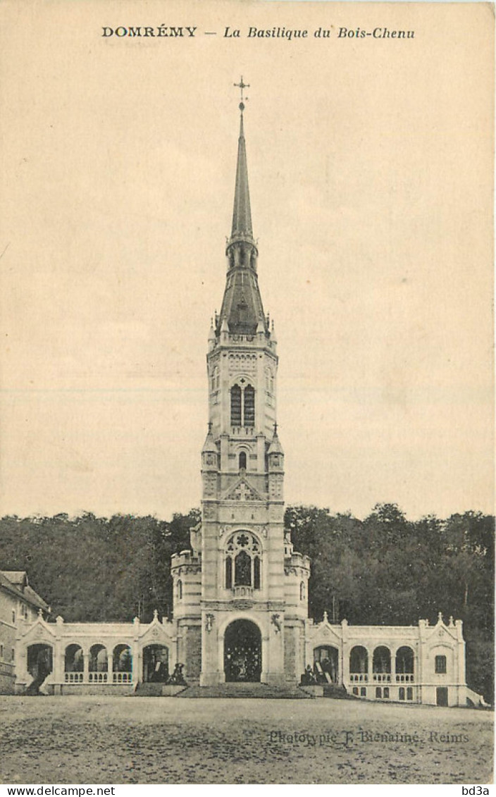 88 - DOMREMY - JEANNE D'ARC - BASILIQUE DU BOIS CHENU - Domremy La Pucelle