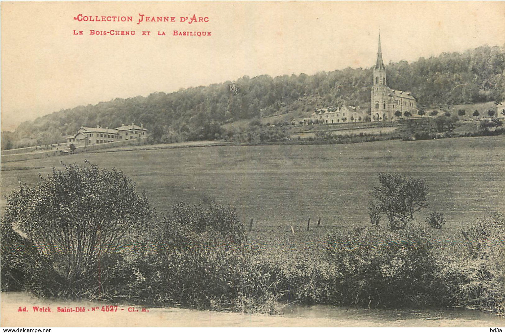 88 - DOMREMY - JEANNE D'ARC - BASILIQUE DU BOIS CHENU - Domremy La Pucelle