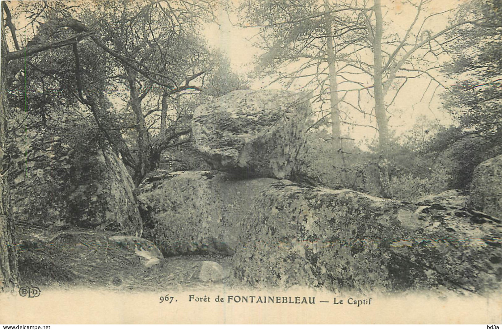 77 - FORET DE FONTAINEBLEAU - LE CAPTIF - Fontainebleau