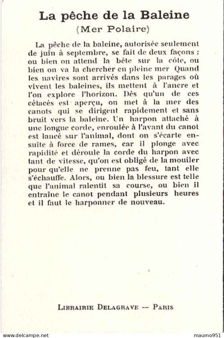 CHROMO LA PECHE DE LA BALEINE. MER POLAIRE . FLORIDE. FORMAT 105X70 - Altri & Non Classificati