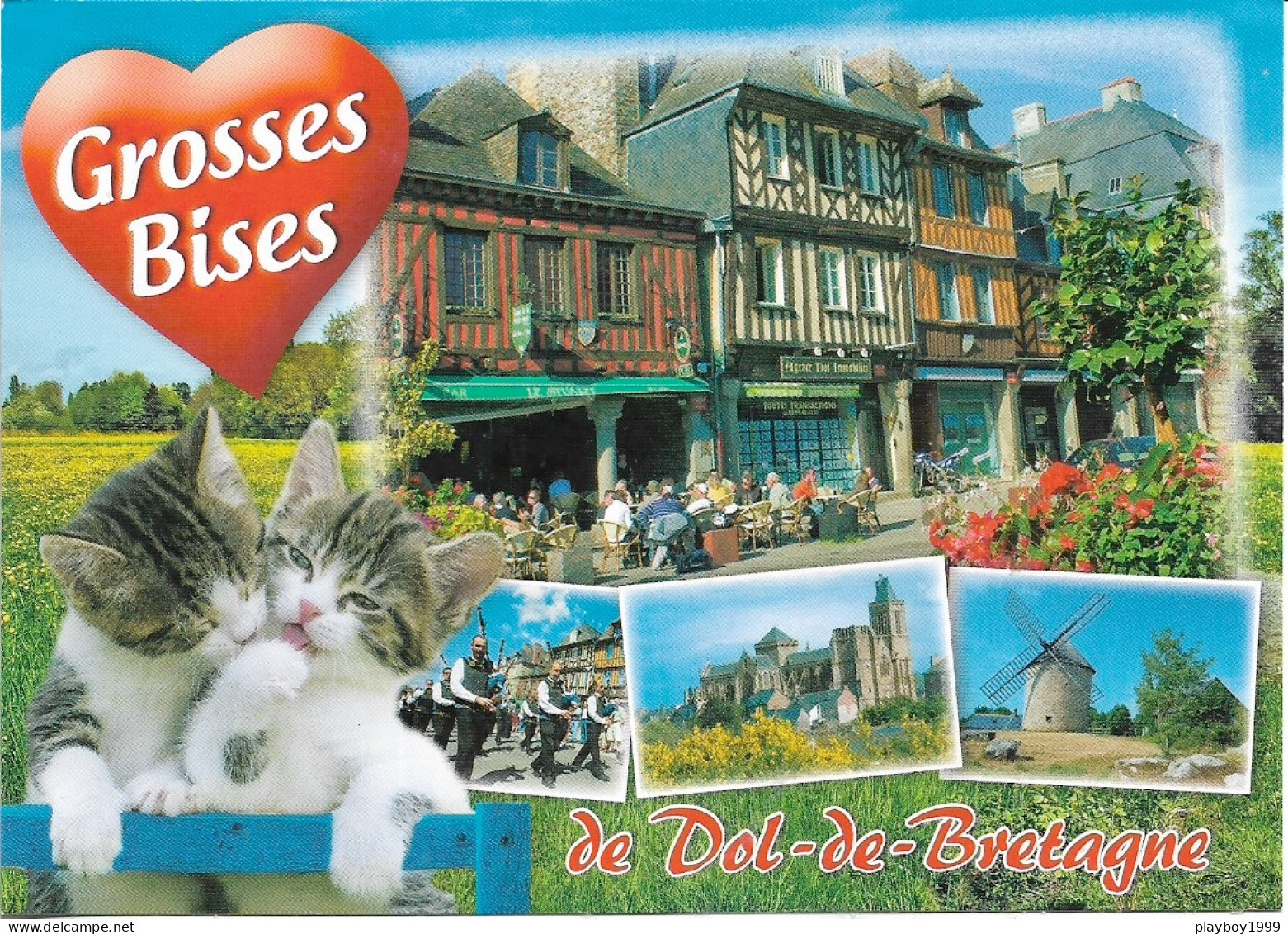 Chats - Grosses Bises De DOL-DE-BRETAGNE - 4 Vues  Et 2 Petits Chatons - Cpm - Vierge - Cats