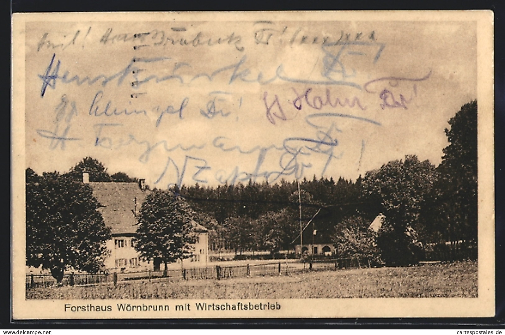 AK Wörnbrunn, Forsthaus Mit Gaststätte  - Hunting