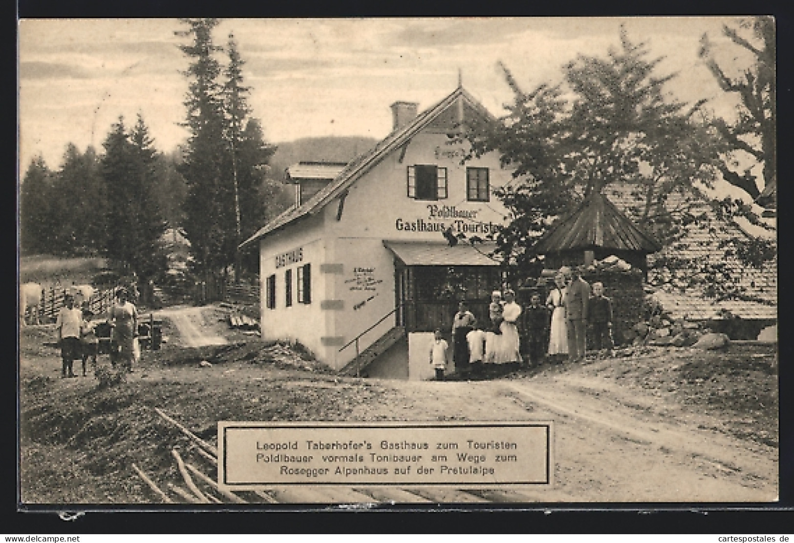 AK Mürzzuschlag, Gasthaus Zum Touristen Am Wege Zum Rosegger Alpenhaus Auf Der Pretulalpe  - Autres & Non Classés