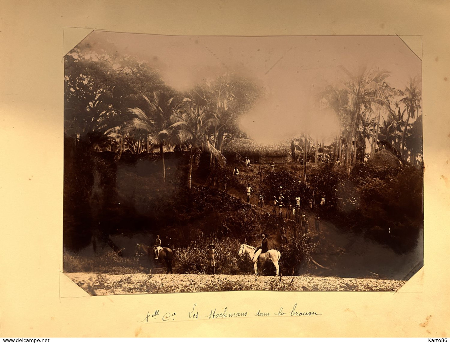 Nouvelle Calédonie * RARE Grande Photo Albuminée Fin 19ème * Les Stockmans Dans La Brousse * 22.5x16.2cm - Nouvelle Calédonie