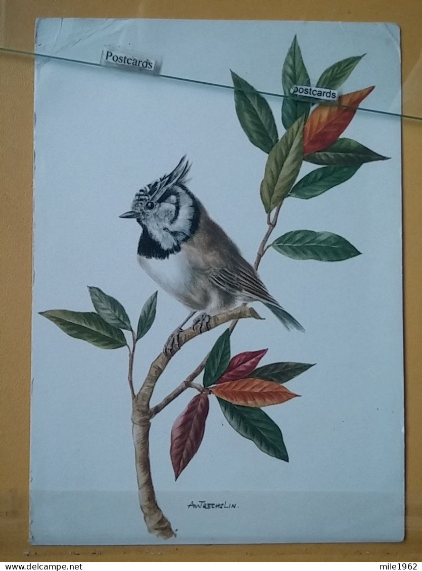 KOV 506-29 -  BIRD, OISEAU, PEINTING TRECHSLIN, PARUS CRISTATUS, MESANGE HUPPEE - Oiseaux