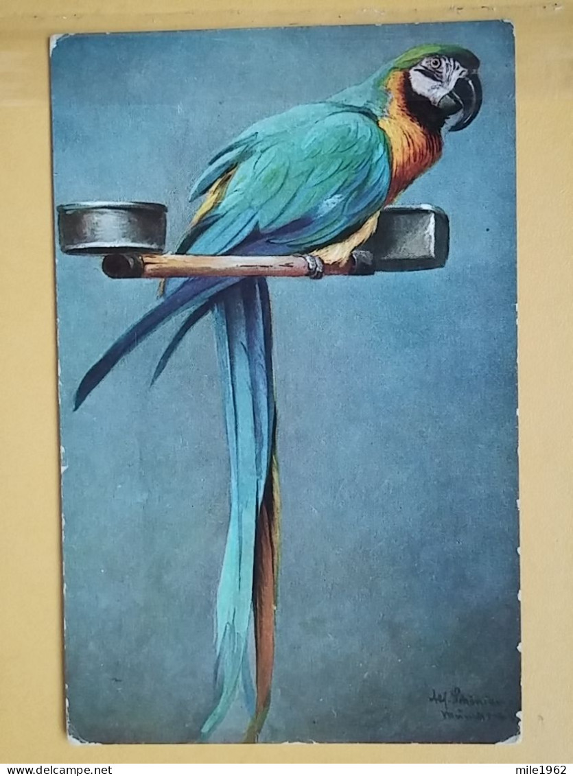 KOV 506-29 -  BIRD, OISEAU, PARROT, PERROQUET - Oiseaux