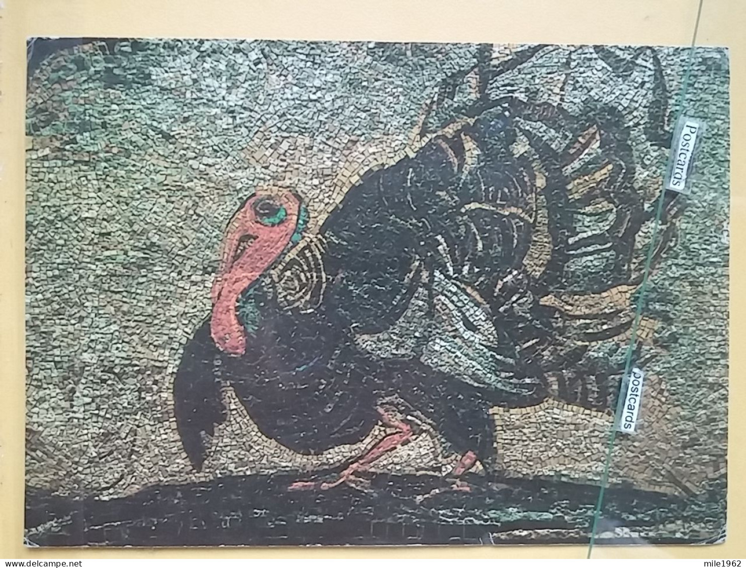 KOV 506-28 -  TURKEY COCK, DINDE, HOTEL JAGODINA, SVETOZAREVO, SERBIA - Autres & Non Classés