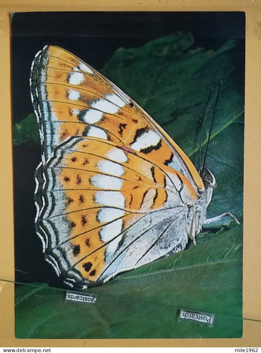 KOV 506-27 - BUTTERFLY, PAPILLON, PAPPELBLATTERN - Vlinders