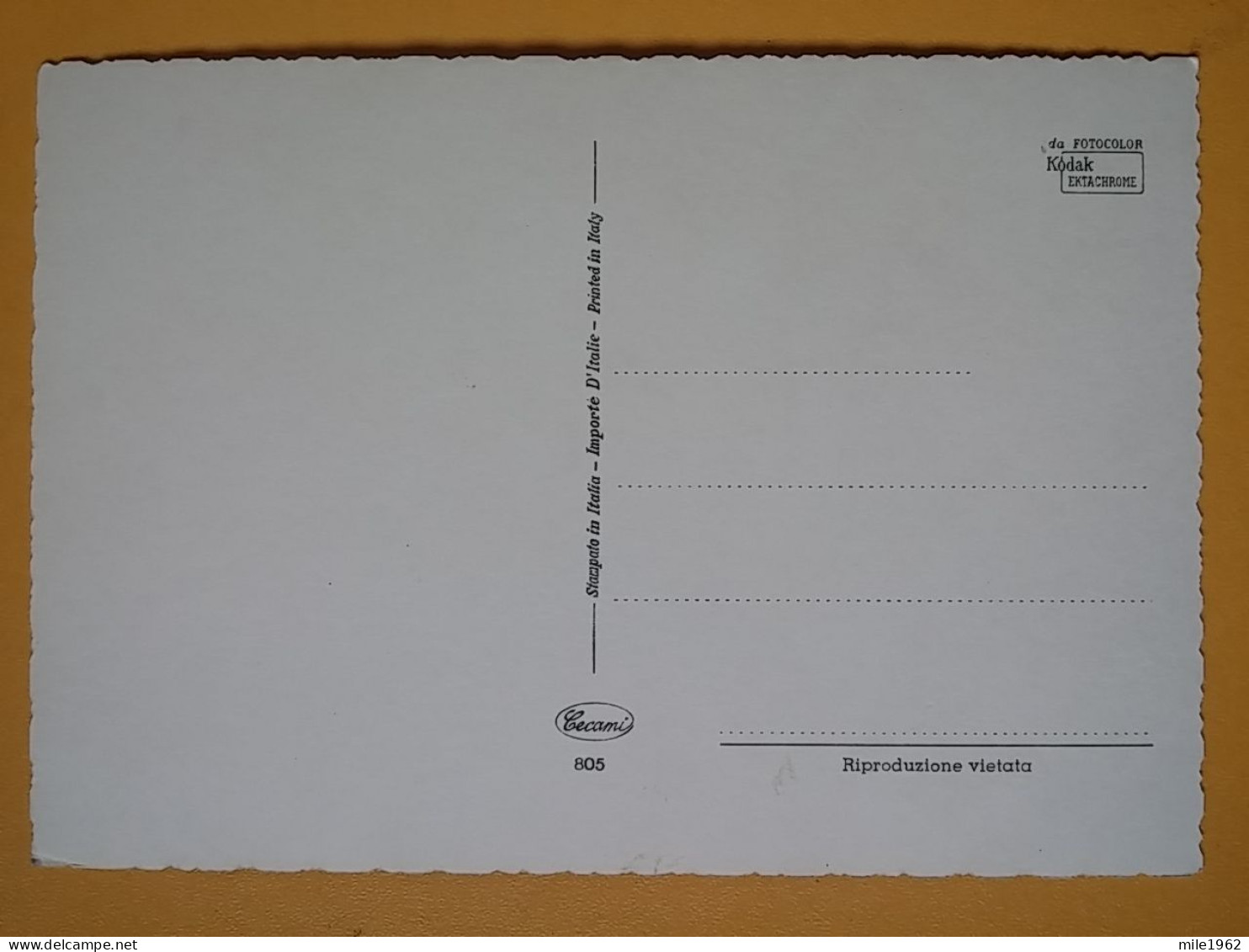 KOV 506-27 - DEER, CERF, FAWN, FAON, CHILDREN, ENFANT - Sonstige & Ohne Zuordnung