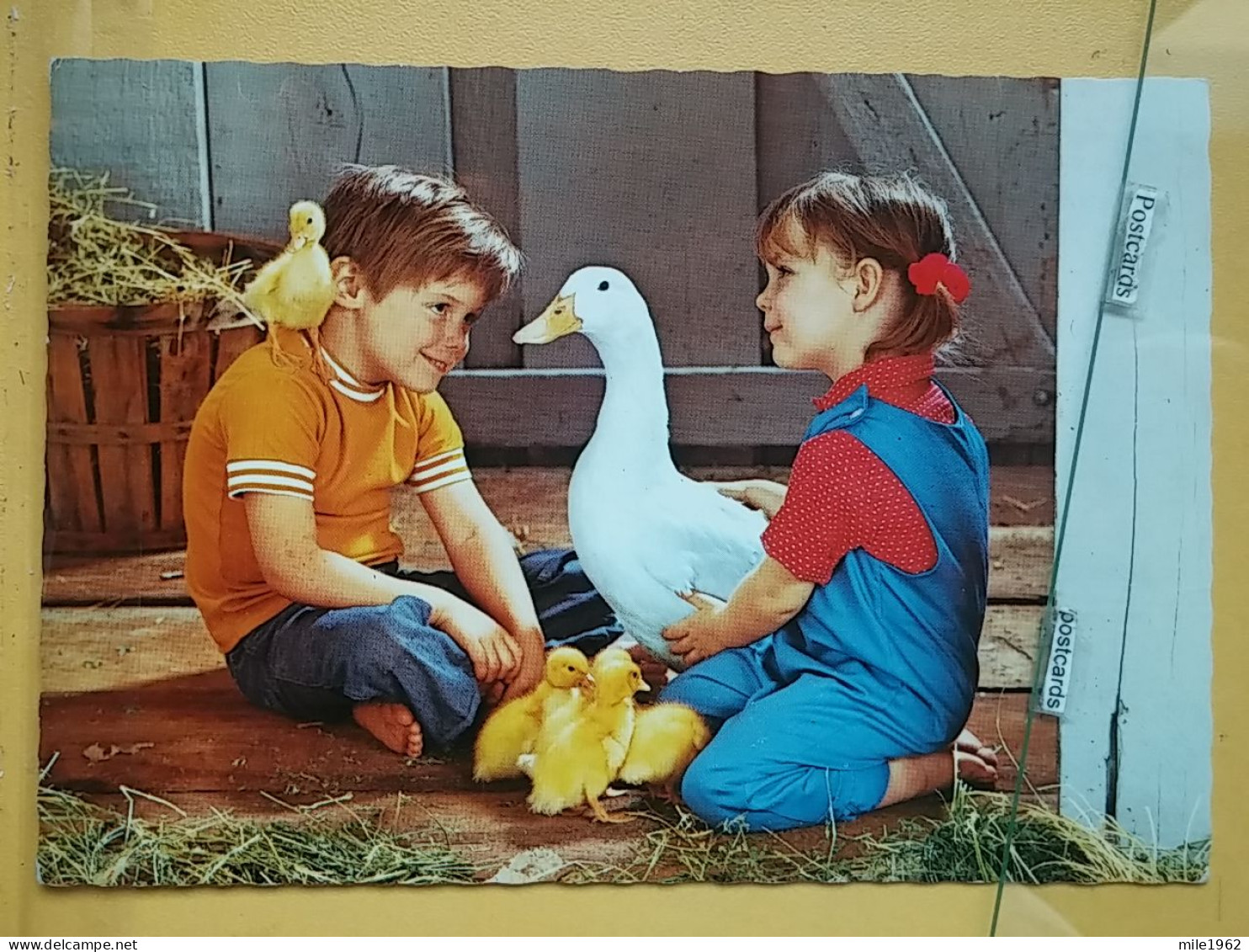 KOV 506-25 - CHILDREN, ENFANT, GOOSE, OIE - Sonstige & Ohne Zuordnung