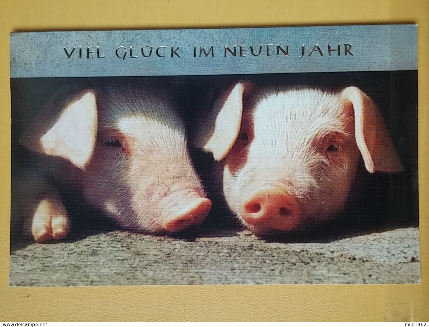 KOV 506-25 - PIG, PORC,  - Schweine