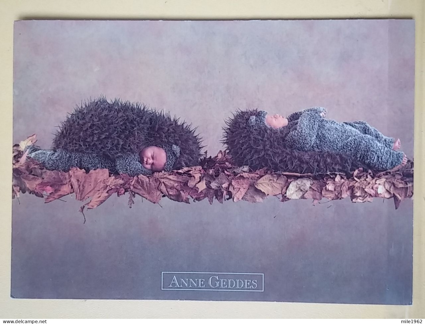 KOV 506-25 - HEDGEHOG, LE HÉRISSON, ANNE GEDDES, CHILDREN, ENFANT - Andere & Zonder Classificatie