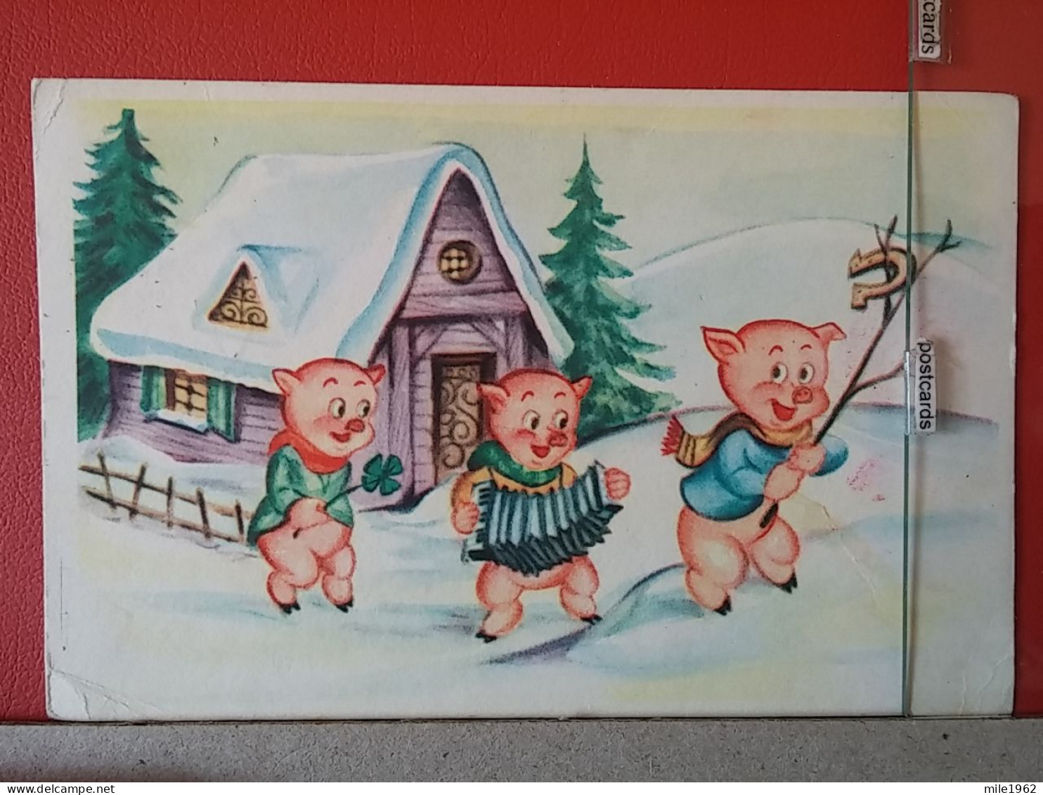 KOV 506-24 - PIG, PORC,  - Schweine