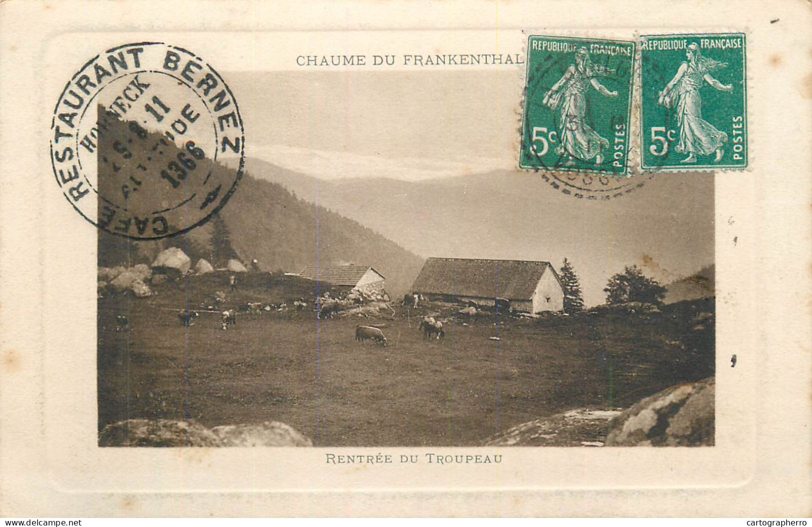 CHAUME DE FRANKENTHAL Entrée Du Troupeau 1911 - Autres & Non Classés