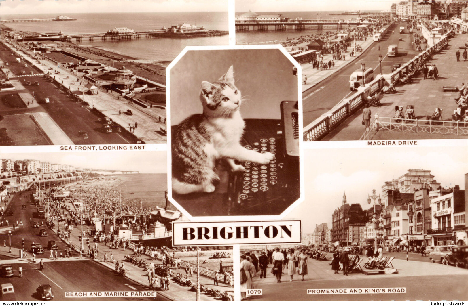 R333674 Brighton. Sea Front. Looking East. Madeira Drive. Promenade And King Roa - Monde