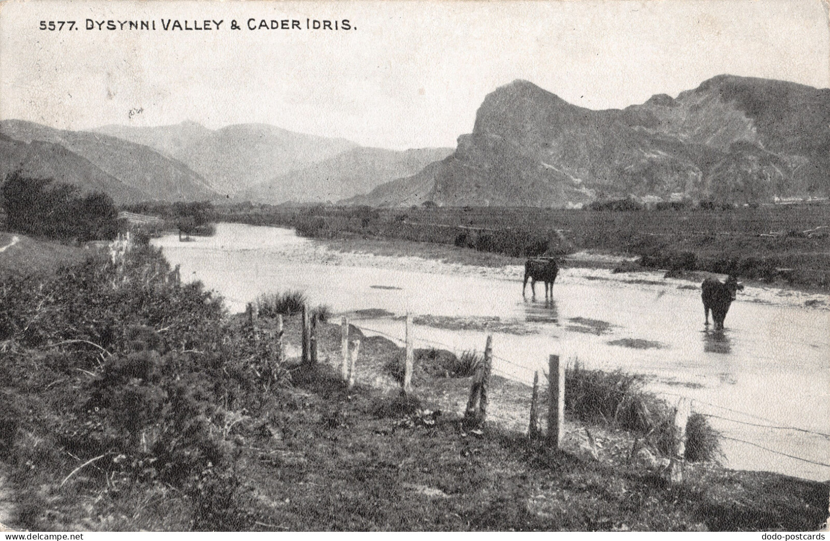 R335245 5577. Dysynni Valley And Cader Idris. R. J. Williams. 1924 - Wereld