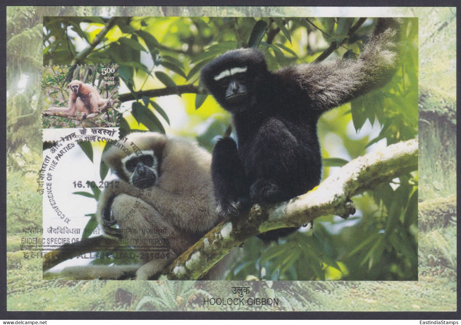 Inde India 2012 Maximum Max Card Hoolock Gibbon, Monkey, Indian Biodiversity, Tree, Trees, Wildlife, Wild Animals - Covers & Documents