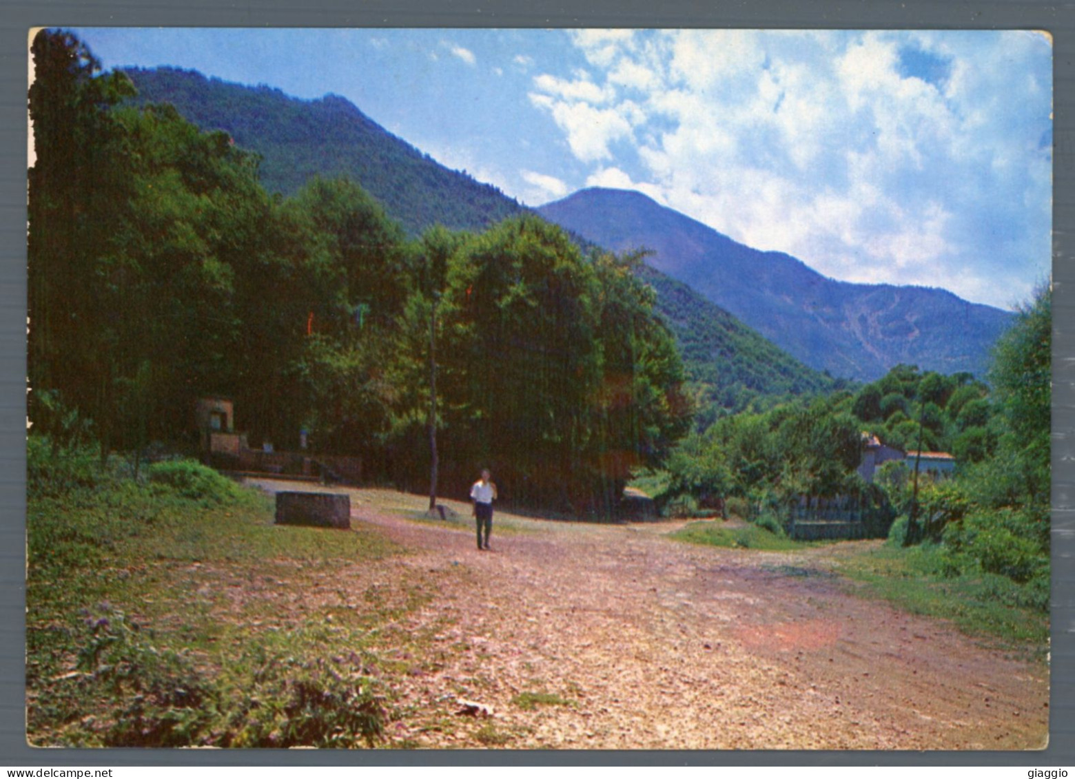 °°° Cartolina - Supino Fontana Della Colonia E Monte Gemma - Nuova °°° - Frosinone