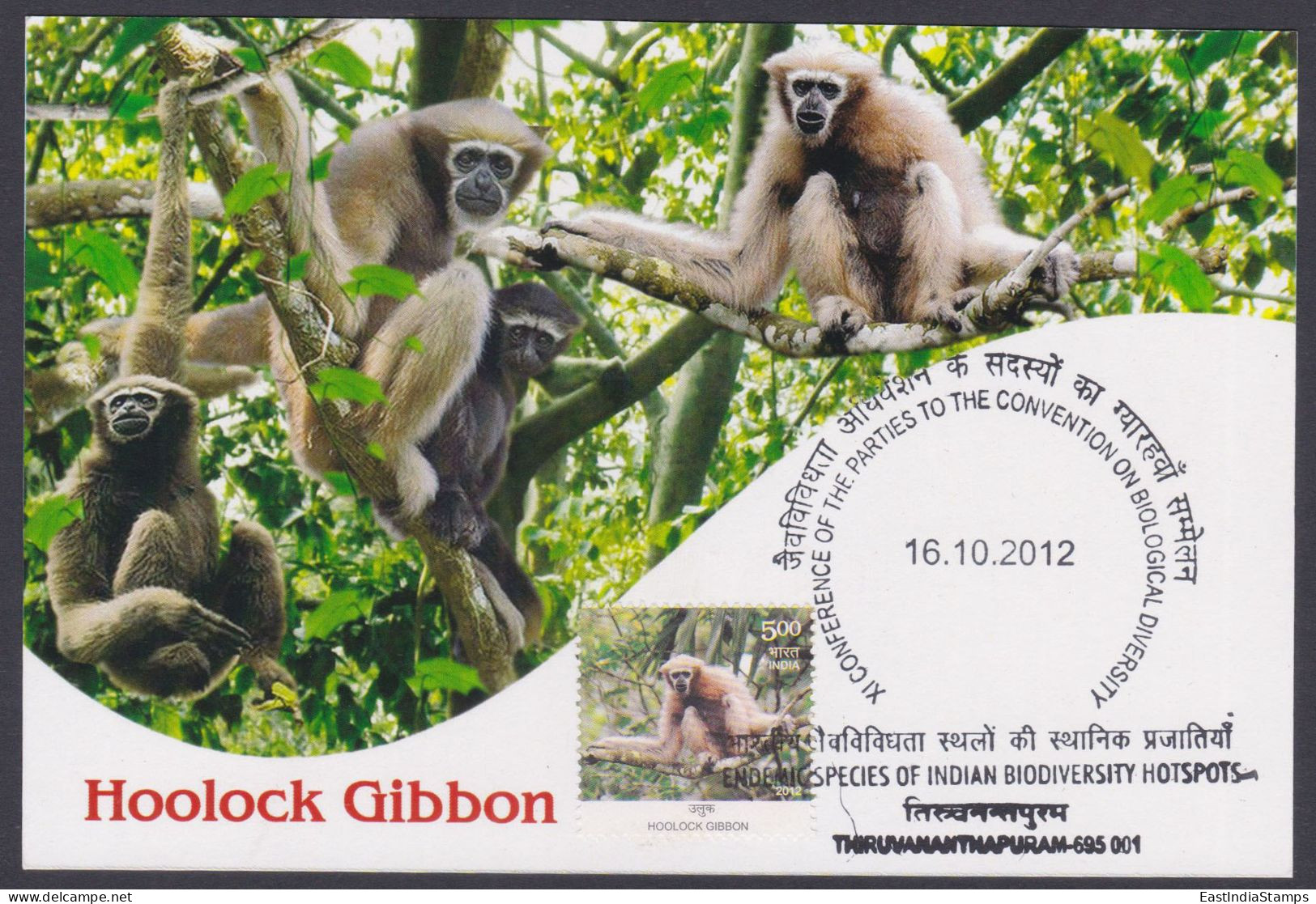 Inde India 2012 Maximum Max Card Hoolock Gibbon, Monkey, Indian Biodiversity, Tree, Trees, Wildlife, Wild Animals - Covers & Documents