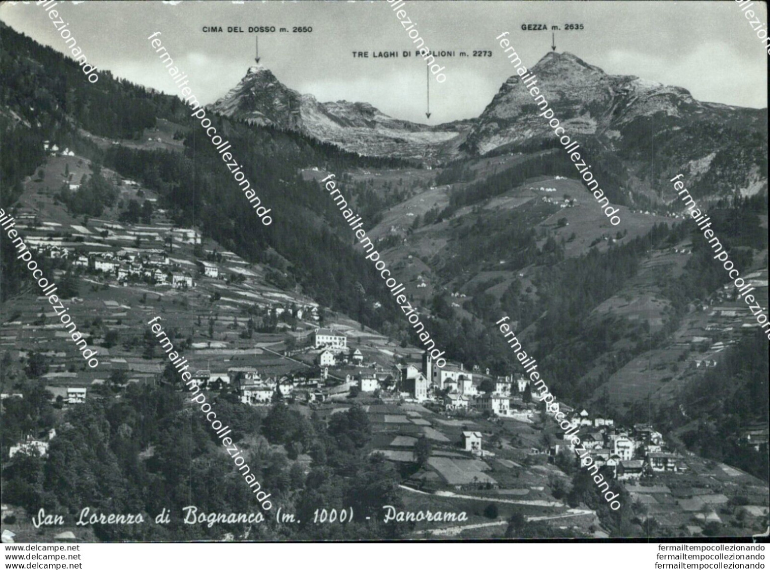 B756 Cartolina S.lorenzo Di Bognanco Panorama Provincia Di Verbania - Biella